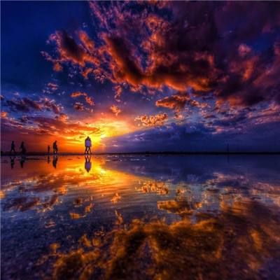 best365官网手机版